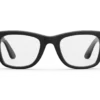 wayfarerfrontal